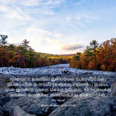 Picture 03 - நியாயாதிபதிகள் 20:30 TAMIRV - மூன்றாம் நாளிலே - Bible Verse Picture