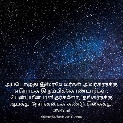 Picture 03 - நியாயாதிபதிகள் 20:41 TAMIRV - அப்பொழுது - Bible Verse Picture