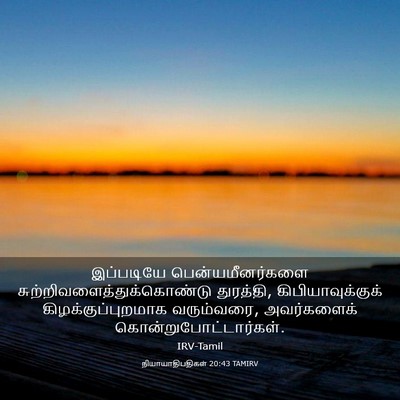 Picture 03 - நியாயாதிபதிகள் 20:43 TAMIRV - இப்படியே - Bible Verse Picture