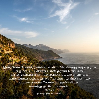 Picture 03 - நியாயாதிபதிகள் 20:48 TAMIRV - இஸ்ரவேல் - Bible Verse Picture