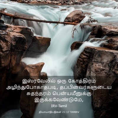 Picture 03 - நியாயாதிபதிகள் 21:17 TAMIRV - இஸ்ரவேலில் ஒரு - Bible Verse Picture