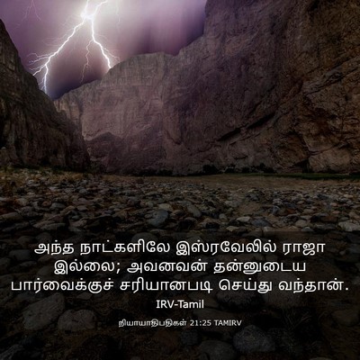 Picture 03 - நியாயாதிபதிகள் 21:25 TAMIRV - அந்த நாட்களிலே - Bible Verse Picture