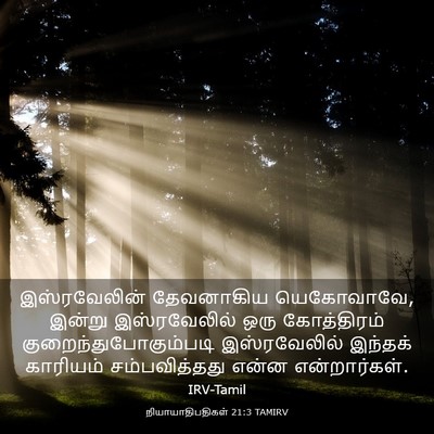 Picture 03 - நியாயாதிபதிகள் 21:3 TAMIRV - இஸ்ரவேலின் - Bible Verse Picture