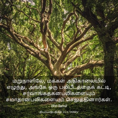 Picture 03 - நியாயாதிபதிகள் 21:4 TAMIRV - மறுநாளிலே, மக்கள் - Bible Verse Picture