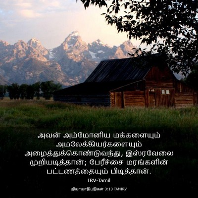 Picture 03 - நியாயாதிபதிகள் 3:13 TAMIRV - அவன் அம்மோனிய - Bible Verse Picture