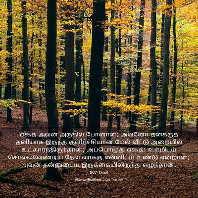 Picture 03 - நியாயாதிபதிகள் 3:20 TAMIRV - ஏகூத் அவன் - Bible Verse Picture