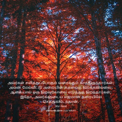 Picture 03 - நியாயாதிபதிகள் 3:25 TAMIRV - அவர்கள் - Bible Verse Picture