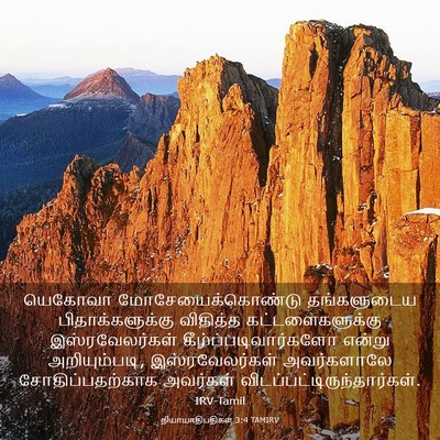 Picture 03 - நியாயாதிபதிகள் 3:4 TAMIRV - யெகோவா - Bible Verse Picture