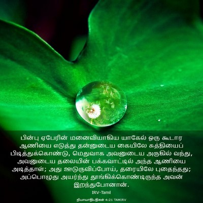 Picture 03 - நியாயாதிபதிகள் 4:21 TAMIRV - பின்பு ஏபேரின் - Bible Verse Picture
