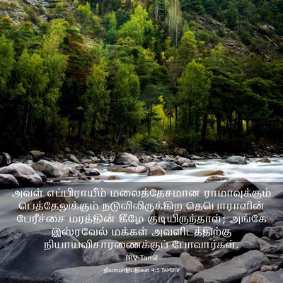 Picture 03 - நியாயாதிபதிகள் 4:5 TAMIRV - அவள் எப்பிராயீம் - Bible Verse Picture