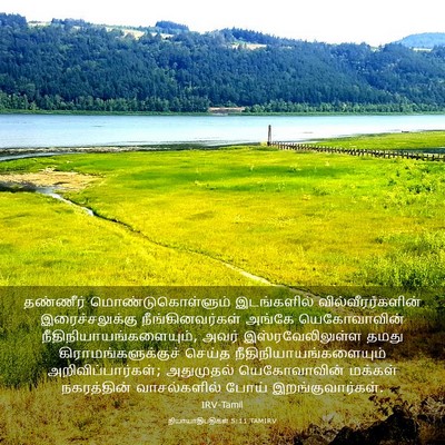 Picture 03 - நியாயாதிபதிகள் 5:11 TAMIRV - தண்ணீர் - Bible Verse Picture