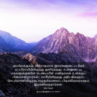 Picture 03 - நியாயாதிபதிகள் 5:14 TAMIRV - அமலேக்குக்கு - Bible Verse Picture