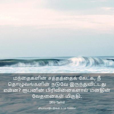 Picture 03 - நியாயாதிபதிகள் 5:16 TAMIRV - மந்தைகளின் - Bible Verse Picture