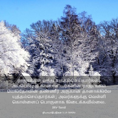 Picture 03 - நியாயாதிபதிகள் 5:19 TAMIRV - ராஜாக்கள் வந்து - Bible Verse Picture