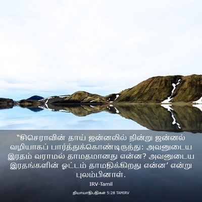 Picture 03 - நியாயாதிபதிகள் 5:28 TAMIRV - “சிசெராவின் தாய் - Bible Verse Picture