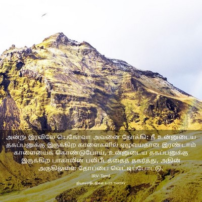 Picture 03 - நியாயாதிபதிகள் 6:25 TAMIRV - அன்று இரவிலே - Bible Verse Picture