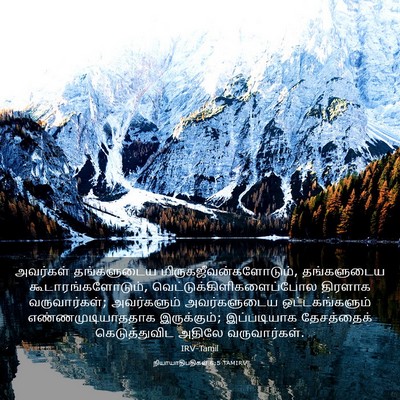 Picture 03 - நியாயாதிபதிகள் 6:5 TAMIRV - அவர்கள் தங்களுடைய - Bible Verse Picture