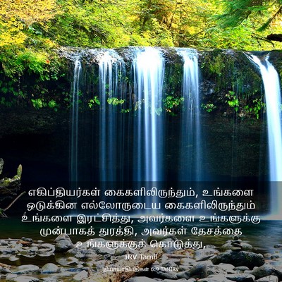 Picture 03 - நியாயாதிபதிகள் 6:9 TAMIRV - எகிப்தியர்கள் - Bible Verse Picture