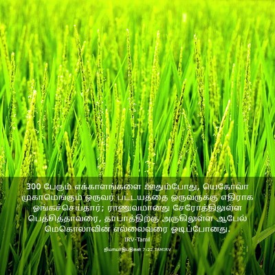 Picture 03 - நியாயாதிபதிகள் 7:22 TAMIRV - 300 பேரும் - Bible Verse Picture