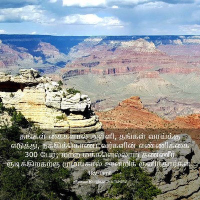 Picture 03 - நியாயாதிபதிகள் 7:6 TAMIRV - தங்கள் கைகளால் - Bible Verse Picture