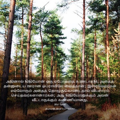 Picture 03 - நியாயாதிபதிகள் 8:27 TAMIRV - அதினால் கிதியோன் - Bible Verse Picture