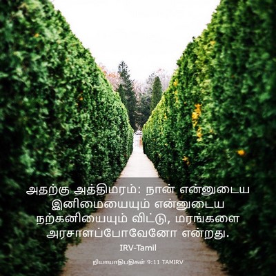 Picture 03 - நியாயாதிபதிகள் 9:11 TAMIRV - அதற்கு அத்திமரம்: - Bible Verse Picture