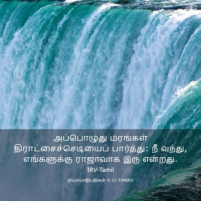 Picture 03 - நியாயாதிபதிகள் 9:12 TAMIRV - அப்பொழுது மரங்கள் - Bible Verse Picture