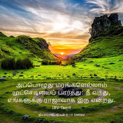 Picture 03 - நியாயாதிபதிகள் 9:14 TAMIRV - அப்பொழுது - Bible Verse Picture