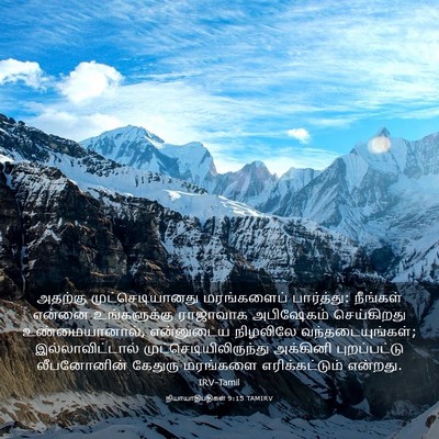Picture 03 - நியாயாதிபதிகள் 9:15 TAMIRV - அதற்கு - Bible Verse Picture