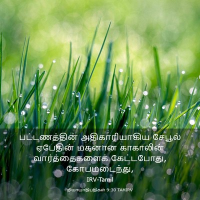 Picture 03 - நியாயாதிபதிகள் 9:30 TAMIRV - பட்டணத்தின் - Bible Verse Picture
