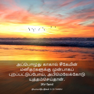 Picture 03 - நியாயாதிபதிகள் 9:39 TAMIRV - அப்பொழுது காகால் - Bible Verse Picture