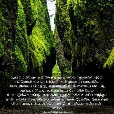 Picture 03 - நியாயாதிபதிகள் 9:48 TAMIRV - அபிமெலேக்கு - Bible Verse Picture