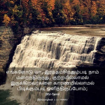 Picture 03 - நீதிமொழிகள் 1:11 TAMIRV - எங்களோடு வா, - Bible Verse Picture