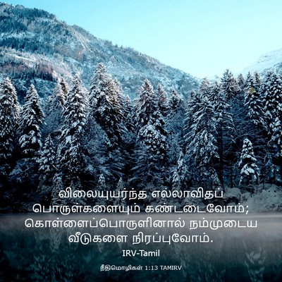 Picture 03 - நீதிமொழிகள் 1:13 TAMIRV - விலையுயர்ந்த - Bible Verse Picture