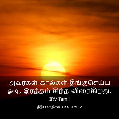 Picture 03 - நீதிமொழிகள் 1:16 TAMIRV - அவர்கள் கால்கள் - Bible Verse Picture