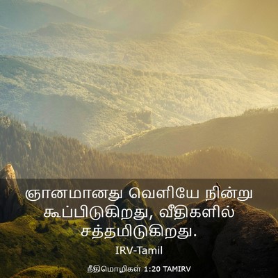 Picture 03 - நீதிமொழிகள் 1:20 TAMIRV - ஞானமானது வெளியே - Bible Verse Picture