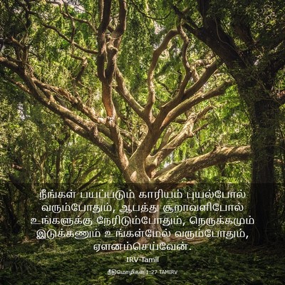 Picture 03 - நீதிமொழிகள் 1:27 TAMIRV - நீங்கள் பயப்படும் - Bible Verse Picture