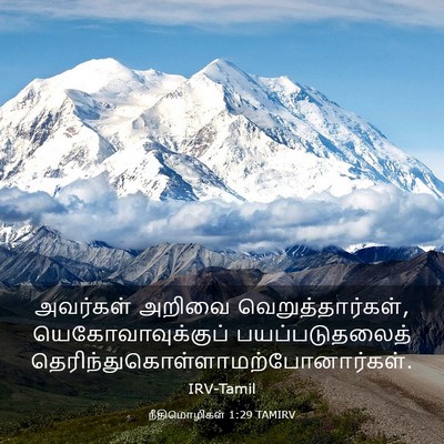Picture 03 - நீதிமொழிகள் 1:29 TAMIRV - அவர்கள் அறிவை - Bible Verse Picture
