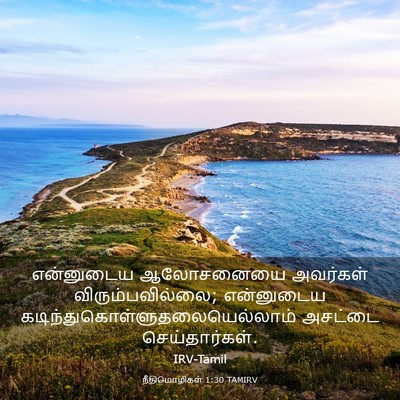 Picture 03 - நீதிமொழிகள் 1:30 TAMIRV - என்னுடைய ஆலோசனையை - Bible Verse Picture