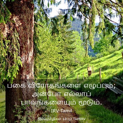 Picture 03 - நீதிமொழிகள் 10:12 TAMIRV - பகை விரோதங்களை - Bible Verse Picture