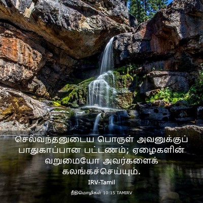 Picture 03 - நீதிமொழிகள் 10:15 TAMIRV - செல்வந்தனுடைய - Bible Verse Picture