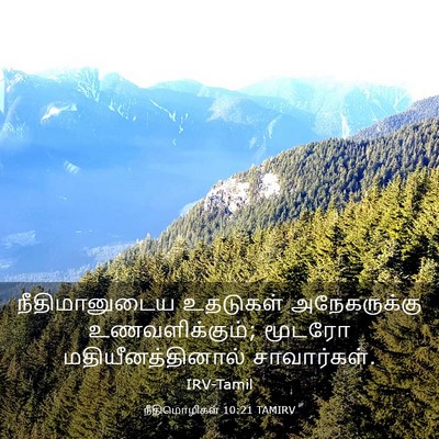 Picture 03 - நீதிமொழிகள் 10:21 TAMIRV - நீதிமானுடைய - Bible Verse Picture