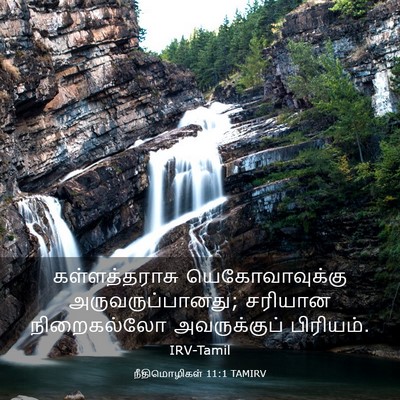 Picture 03 - நீதிமொழிகள் 11:1 TAMIRV - கள்ளத்தராசு - Bible Verse Picture