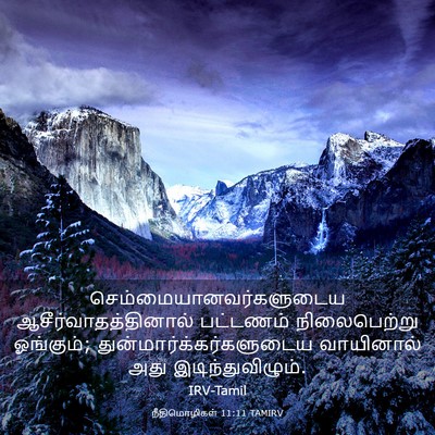 Picture 03 - நீதிமொழிகள் 11:11 TAMIRV -  - Bible Verse Picture
