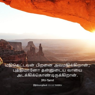 Picture 03 - நீதிமொழிகள் 11:12 TAMIRV - மதிகெட்டவன் பிறனை - Bible Verse Picture