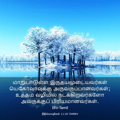 Picture 03 - நீதிமொழிகள் 11:20 TAMIRV - மாறுபாடுள்ள - Bible Verse Picture