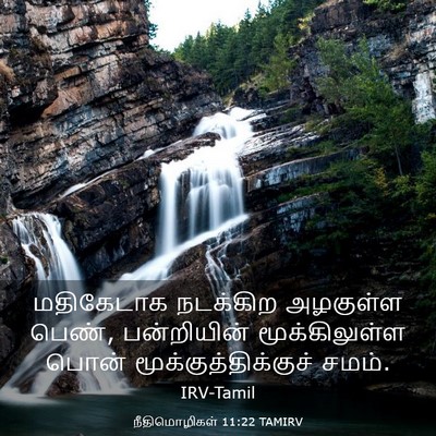 Picture 03 - நீதிமொழிகள் 11:22 TAMIRV - மதிகேடாக நடக்கிற - Bible Verse Picture