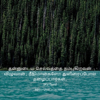 Picture 03 - நீதிமொழிகள் 11:28 TAMIRV - தன்னுடைய - Bible Verse Picture
