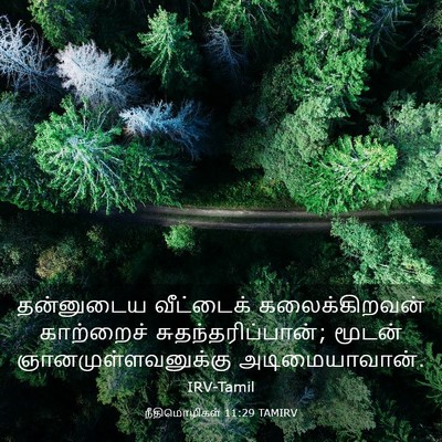 Picture 03 - நீதிமொழிகள் 11:29 TAMIRV - தன்னுடைய வீட்டைக் - Bible Verse Picture