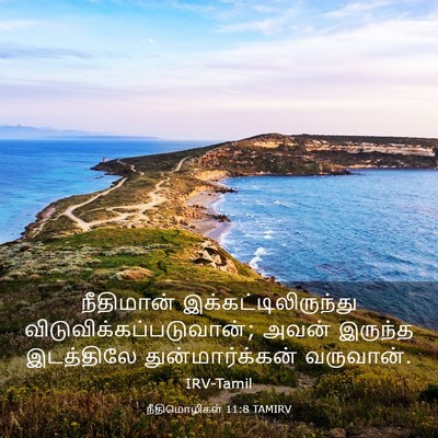 Picture 03 - நீதிமொழிகள் 11:8 TAMIRV - நீதிமான் - Bible Verse Picture